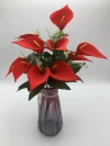 Twelve small calla lilies Application Scenario